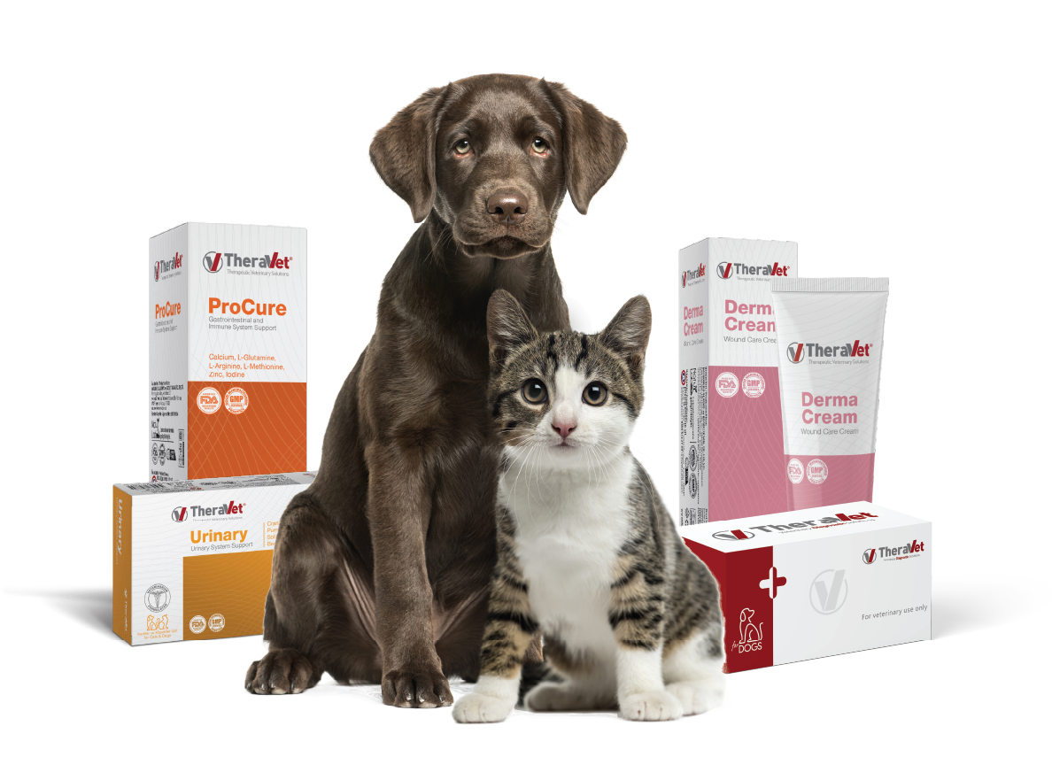 Beta Pet Health | For Dogs Pet Diagnostic Rapid Test Kit