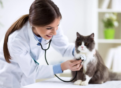 Beta Pet Health | Hakkımızda
