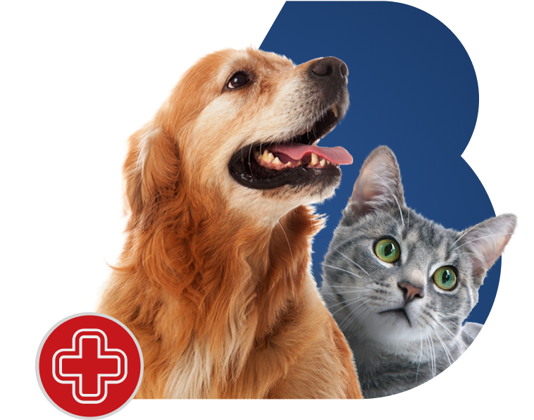 Beta Pet Health | Anasayfa